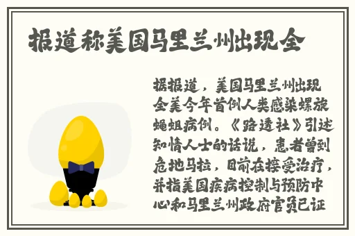 搞机直接打开极速版