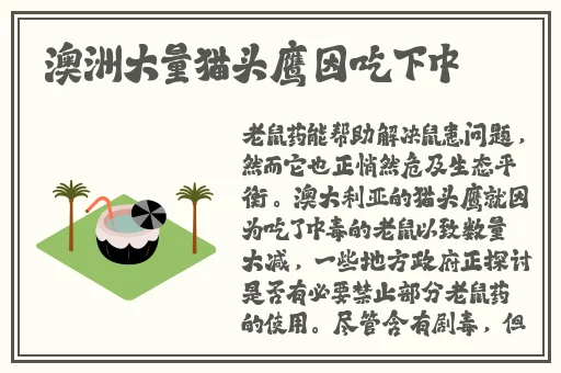 国产色婷婷精品免费视频